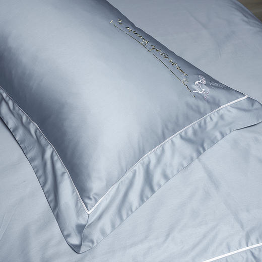 【6F】富安娜素绣床单四件/达芬奇系列·达芬奇密码 商品图8