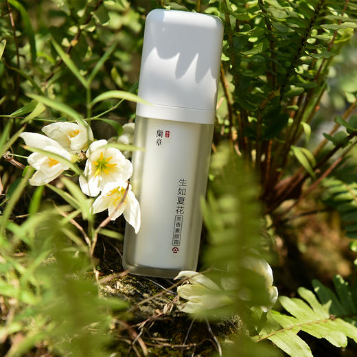 「生如夏花」兰章芳香素颜霜 30g/支 商品图0