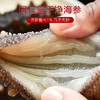 【正宗同仁堂品牌】北京同仁堂 即食海参500克（12-14只）/袋×3袋 固形物100%开袋即食 懒人优选SY 商品缩略图2