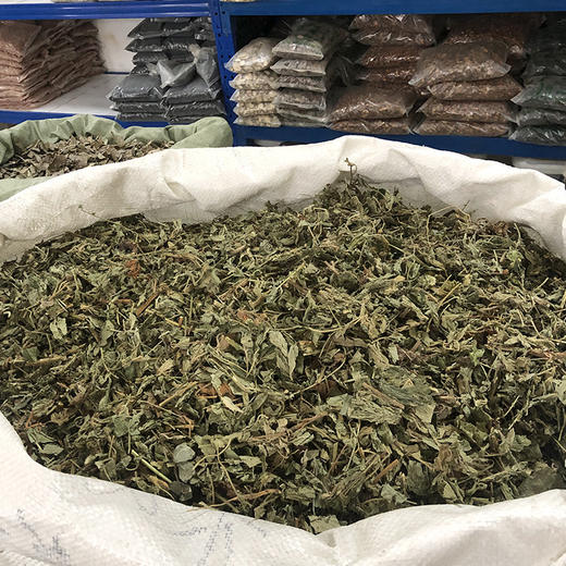 仙鹤草 商品图4