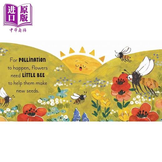 【中商原版】5分钟小自然故事4册纸板书盒装 Mona K 5 Minute Nature Story Box 英文原版 儿童纸板绘本 亲子图画书 早教认知 商品图3