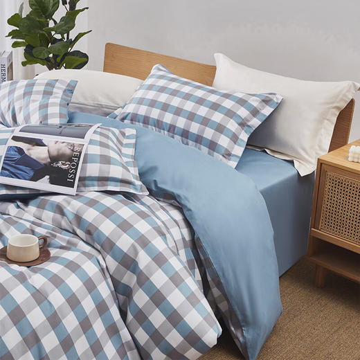 红蜻蜓亲肤棉床上四件套小清新床上田园风床单被套学生宿舍无印系列四件套-巴克曼 被套200*230cm 商品图3