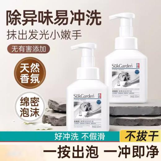 【15元会员福利】蔬果园茶香泡泡洗手液500ml  泡沫型家   宝妈力荐     商品图1