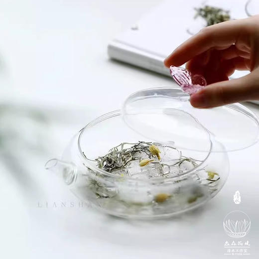 淼森花境丨玻璃冷萃茶壶围炉冰茶冷泡壶耐热绿茶壶女士花茶壶夏季冰茶泡茶碗 商品图1