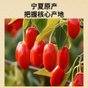 【正宗同仁堂品牌】北京同仁堂 青源堂 红枸杞 贡果 500克 宁夏原产地 饱满大果 优中择优 SY 商品缩略图6