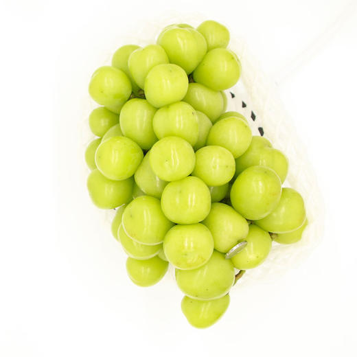 【日配鲜食】阳光玫瑰礼盒 净重约1.8斤 水润饱满 甜而不腻 脆爽多汁（下单后三日内提配） 商品图1