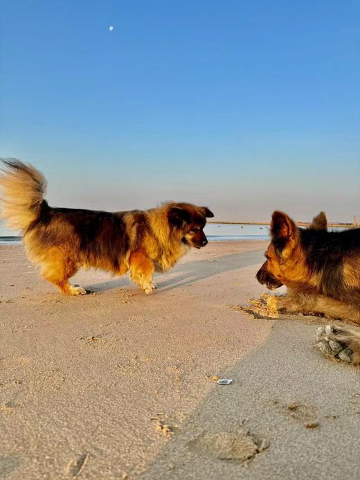 补拍运费 商品图0