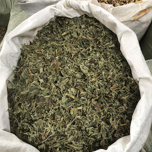 仙鹤草 商品图3