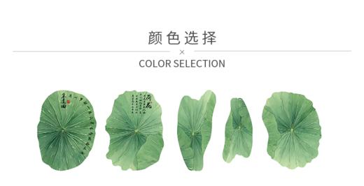 荷塘清韵荷叶纸（10张/包） 商品图3