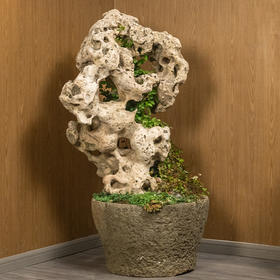 清 太湖石园林赏石