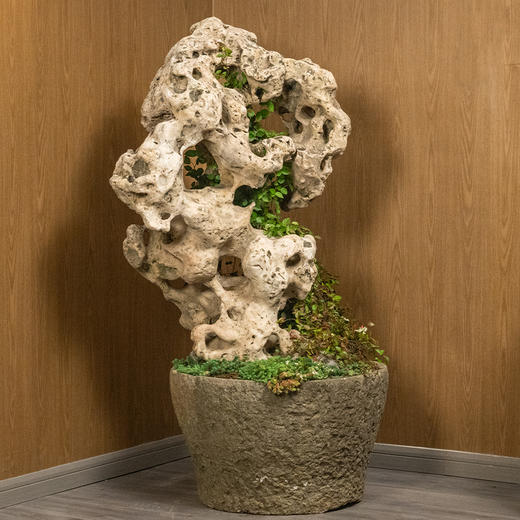 清 太湖石园林赏石 商品图0