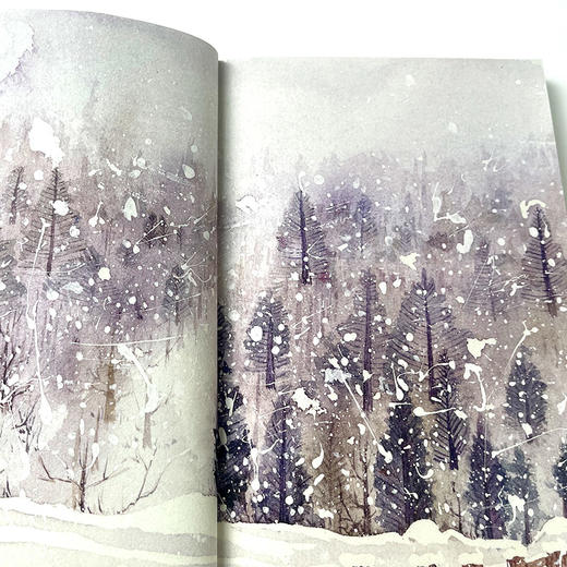 第一场雪：课文作家作品，小学语文教材同步配套读物（五年级上册）(峻青) 商品图2