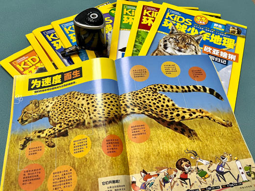 【6-12岁】Kids环球少年地理少儿版  2025年跨年刊 商品图2