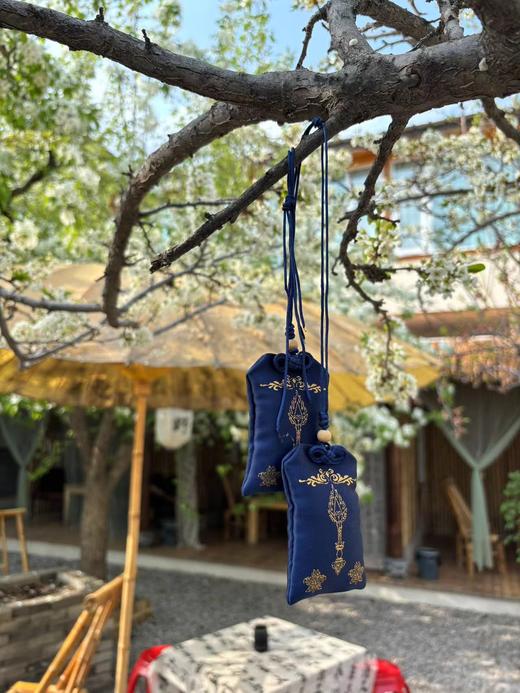 【迭山百年探险考察录】自然博物书籍礼盒套装 商品图3