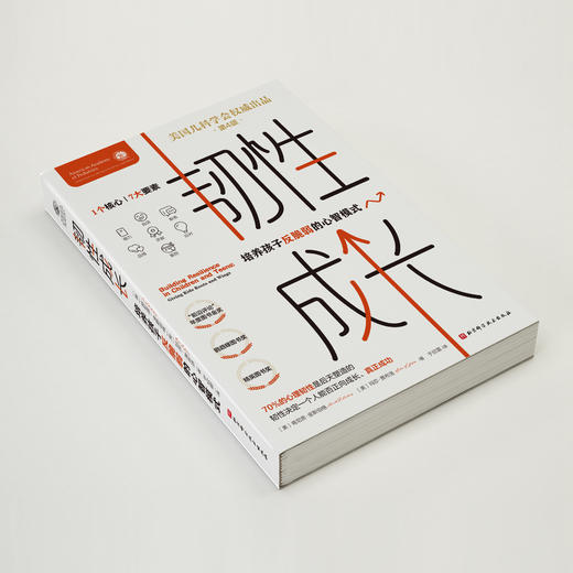 《韧性成长：培养孩子反脆弱的心智模式》 商品图7