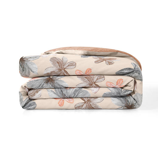 HUGO BOSS  Peach Blossom 全棉四件套 HBCA029 商品图2