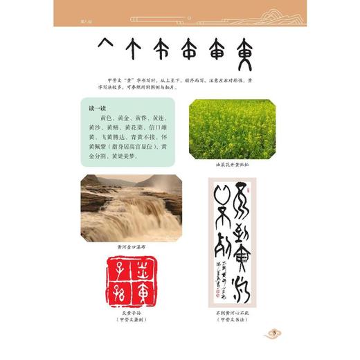 汉字从哪里来——从甲骨文说起 第八级 商品图3