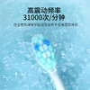 【声波净白去渍 臻享颜值礼遇】德国铂瑞BR-Z5 声波电动牙刷 USB快充 软毛马卡龙 5档模式-QQ 商品缩略图1
