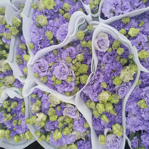 配花-云南洋桔梗农民紫-0.8kg 商品图0