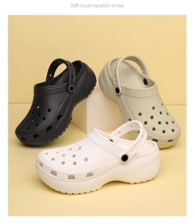 女士休闲网红洞洞潮鞋BV44052