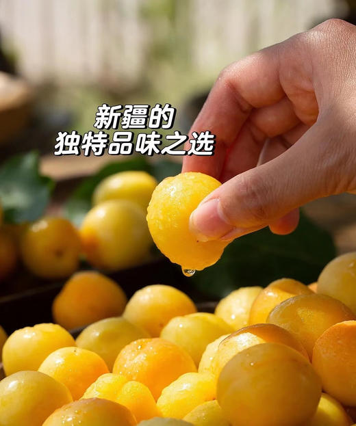 【新疆库车吊干杏】自然成熟，自然风干无添加，人工采摘，保留更多原色原香。-KTAXN 商品图7