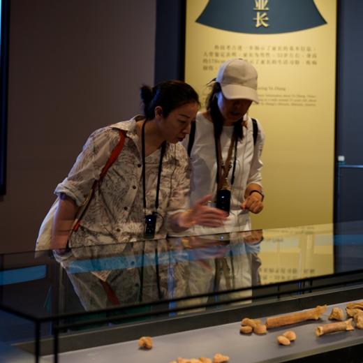 重回大邑商｜河南安阳·殷墟博物馆半日讲解【大咖说®】 商品图2