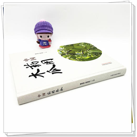 中国药用木瓜 葛月宾 彭华胜 主编 中国中医药出版社 商品图2