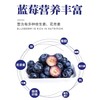 【质农】大兴安岭蓝莓原浆50ml*10瓶礼盒 商品缩略图4