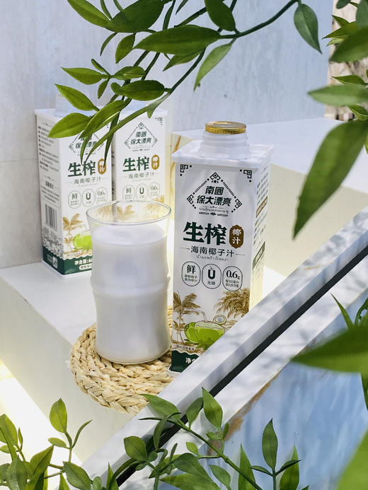 【 南国|徐大漂亮生榨椰汁】2大瓶仅19.9‼一瓶有600ml ‼ 32年国货老品牌💯好评无数的宝藏椰汁真鲜榨好喝‼ 商品图2