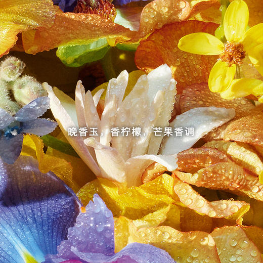 娇兰 花草水语奇迹花园淡香水75ML  G014804-F 商品图2