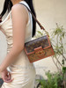 Lv Dauphine 达芙妮 双色老花 小号 斜挎包 商品缩略图1
