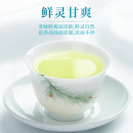【臻尖-晓春兰雪】特级四川茉莉花茶茶叶晓春兰雪100g*2罐 商品图3
