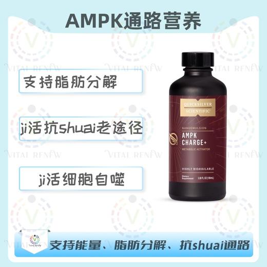 保税仓发货   AMPK CHARGE+® 100 ML AMPK通路营养 商品图0