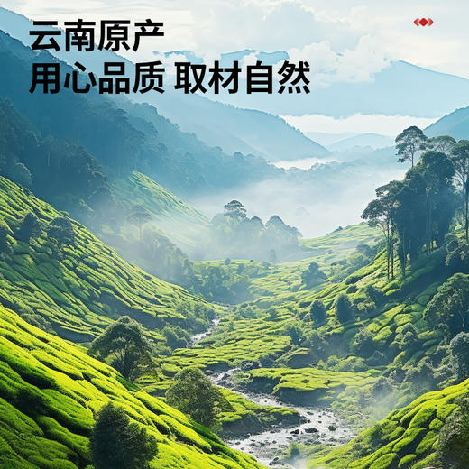 【正宗同仁堂品牌】北京同仁堂 青源堂 天麻片 300克（150克*2）云南原产 口感醇正 汤色清透 回味悠长SY 商品图4