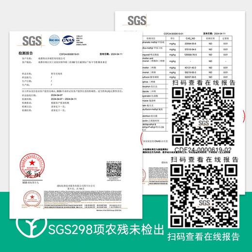 检测SGS298顶农残0检出野生皂角米】来自热带雨林 大单荚 远方好物山珍频道出品 煮粥煲汤煮糖水 无糖无明矾 200g 商品图2