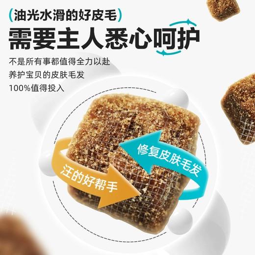「美毛食力派」卫仕 犬用卵磷脂颗粒500g 商品图3