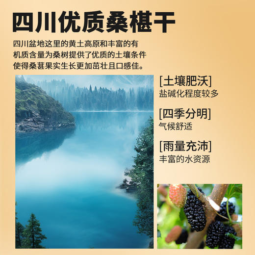 【正宗同仁堂品牌】北京同仁堂 桑椹110克 口感香甜 严选品质 拒绝熏硫SY 商品图3