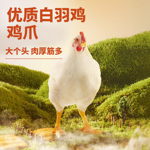 【会员满减专区】新奇特_虎皮凤爪/香辣味/4支/10支 商品图3