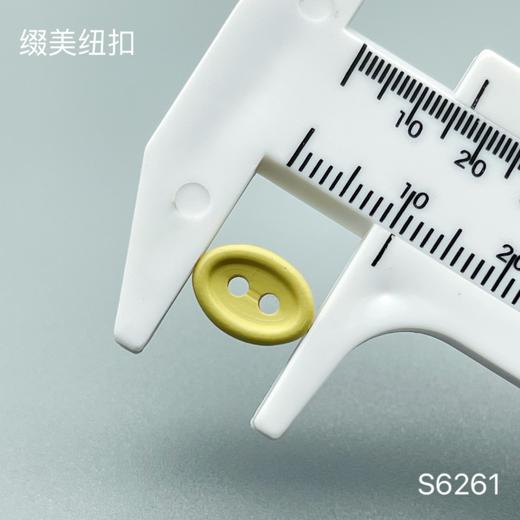 S6261(整包购买) 商品图1