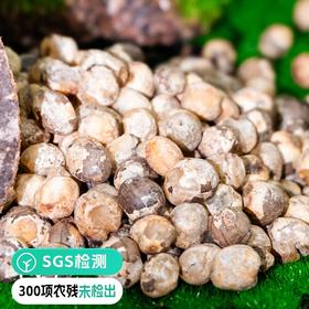 【检测300项农残未检出 野生竹米 竹子果实 穷尽一生之精华“非梧桐不栖，非竹实不食”真正的凤凰之食】远方好物山珍频道出品 养胃佳品