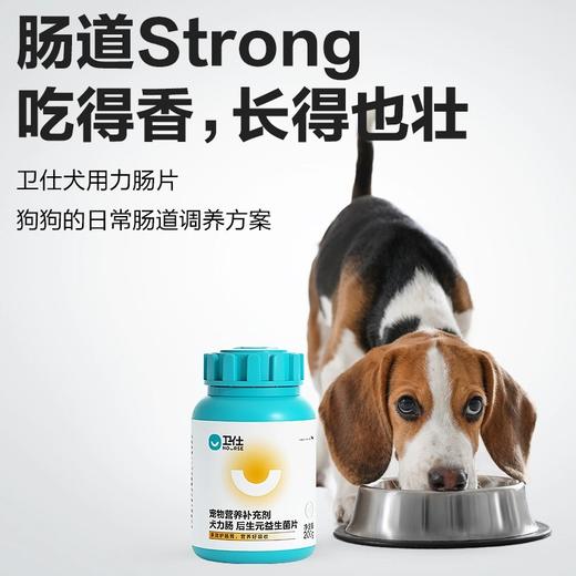 「3效合1调理肠胃」卫仕 犬力肠400片 调理肠胃 商品图1