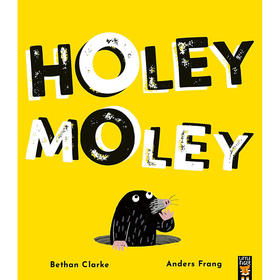 霍利莫利 儿童绘本故事书 Bethan Clarke 英文原版 Holey Moley 3-6岁