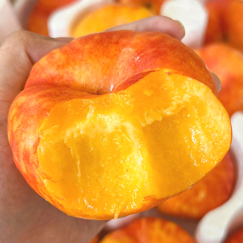 蒙阴彩虹油蟠桃山人优选，桃香味十足，肉厚核小