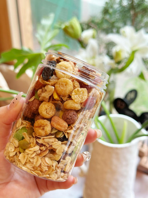 格兰诺拉脆麦片 商品图3