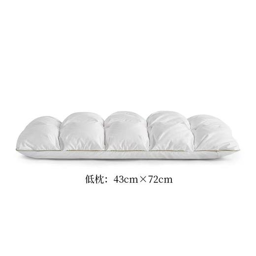 【春上新】10楼罗卡芙/惠谊高弹天然护颈乳胶成人抗菌鹅绒乳胶枕-华星秋月43*72cm吊牌价1980元/只   活动价1280元/只 商品图4