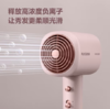 飞科（FLYCO）（510099）电吹风机家用大功率负离子吹风筒护发不伤发大风力科技速干轻小巧 FH6356 商品缩略图1