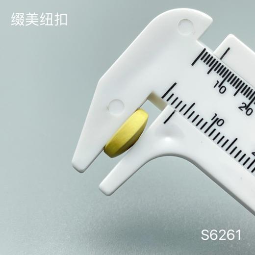 S6261(整包购买) 商品图2