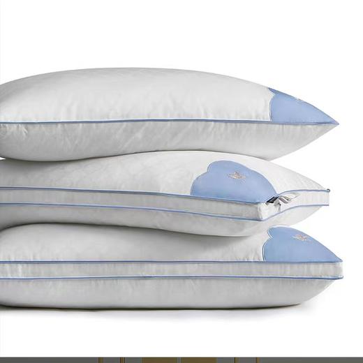 【春上新】10楼罗卡芙      惠谊全棉提花纤维单人低枕-福运草本香熏枕47*73cm   吊牌价398元/只   活动价298元/只 商品图2