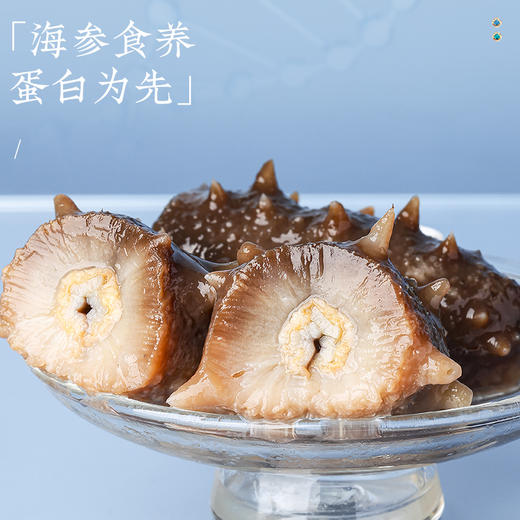 【正宗同仁堂品牌】北京同仁堂 青源堂 淡干海参400克（81-120头/500克）选自大连 送礼盒 泡发即食 冷风干燥 SY 商品图1