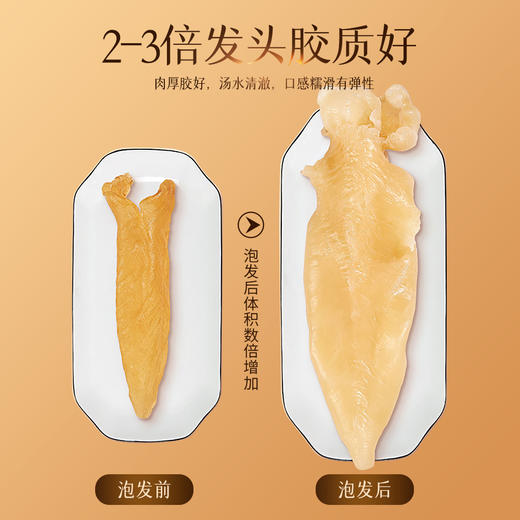 蔡府大黄花胶礼盒100g 商品图3